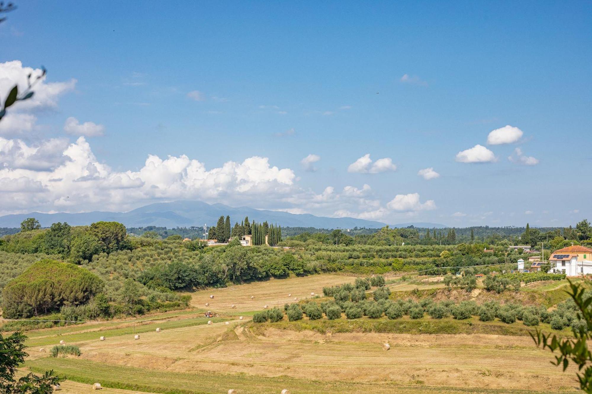 Fienile Cipresso, Art Of Living Tuscany Torre ภายนอก รูปภาพ